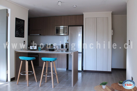 RE-LS: Cocina americana con refrigerador y micro-ondas