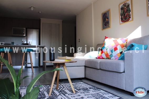 RE-LS: All apartments have a lounge area and kitchenette